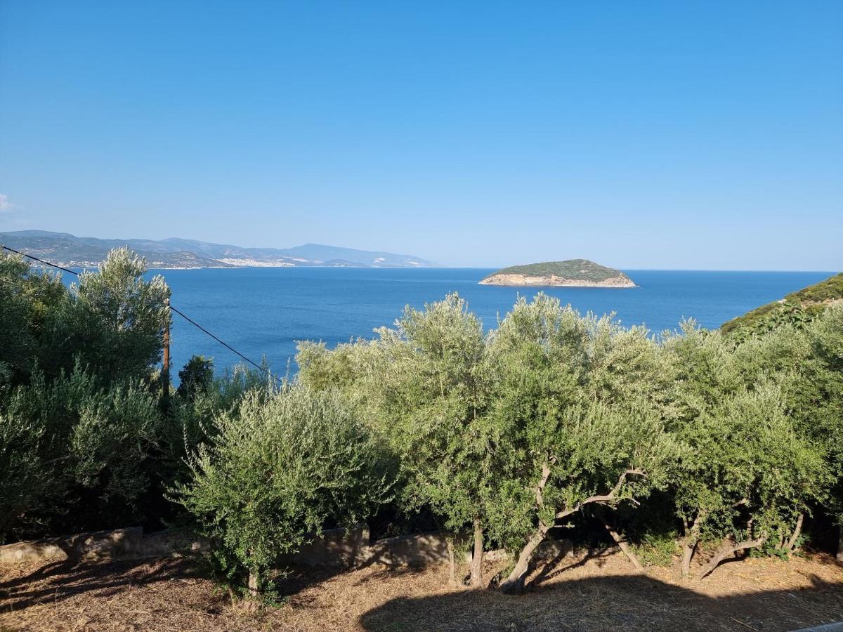 Maria Olive And Sea Villa Nea Iraklitsa Екстериор снимка